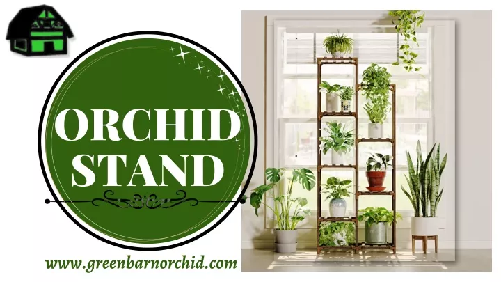 orchid stand