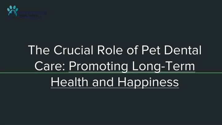 t he crucial role of pet dental care promoting long term health and happiness