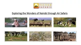 Exploring the Wonders of Nairobi through Air Safaris