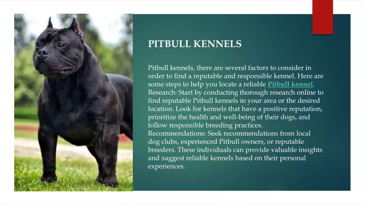pitbull kennels