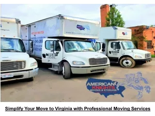 Simplify Your Move to Virginia with Professional Moving Services