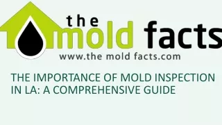 The Importance of Mold Inspection in LA: A Comprehensive Guide