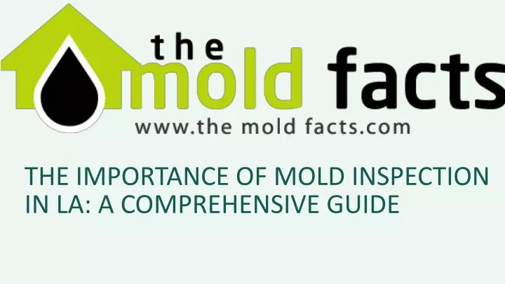 the importance of mold inspection