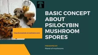 Basic Concept about Psilocybin mushroom spores