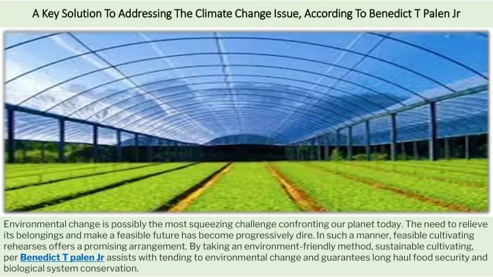 a key solution to addressing the climate change issue according to benedict t palen jr