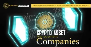 Maximize Your Investments with CryptoSaviours's Crypto Asset Management Platform