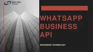 WhatsApp Business API pros and chatbot