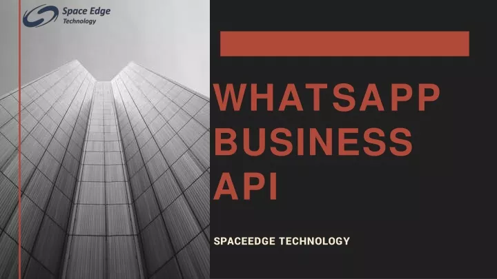 w h a t s a p p business api