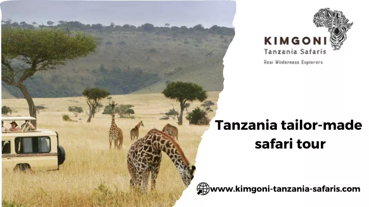 tanzania tailor made safari tour