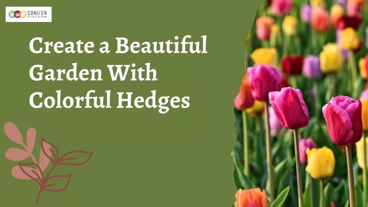 create a beautiful garden with colorful hedges