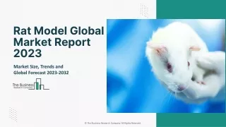 rat model global market report 2023