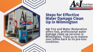 Steps For Effective Water Damage Clean Up In Wilmington