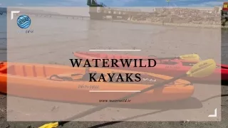 Discover the Thrill of Sea Kayaking  Waterwild