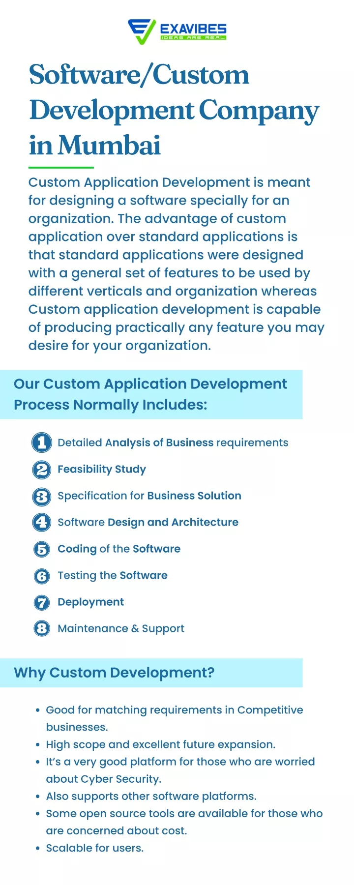 software custom development company in mumbai