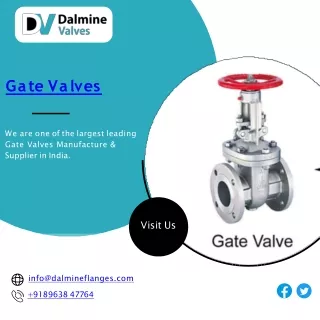 Gate Valves|Ball Valves|Check Valves|Globe Valves| Dalmine Valves