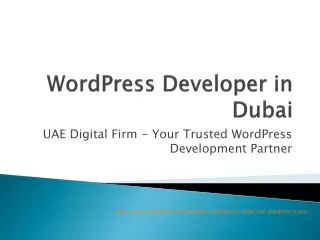 WordPress Developer in Dubai