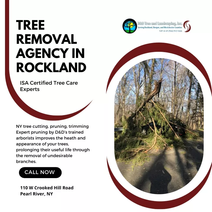 tree removal agency in rockland