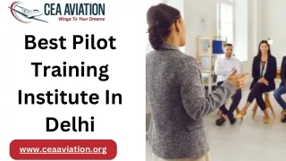 Best Pilot Training Institute In Delhi