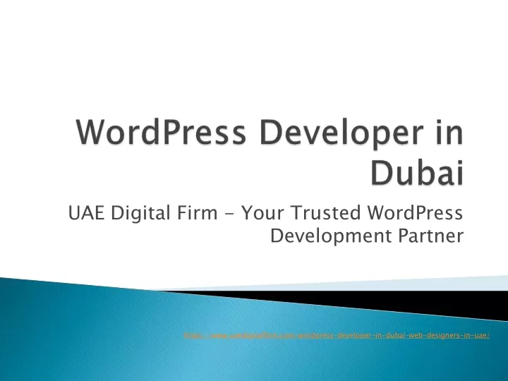 uae digital firm your trusted wordpress