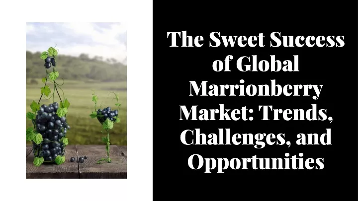 the sweet success of global marrionberry market