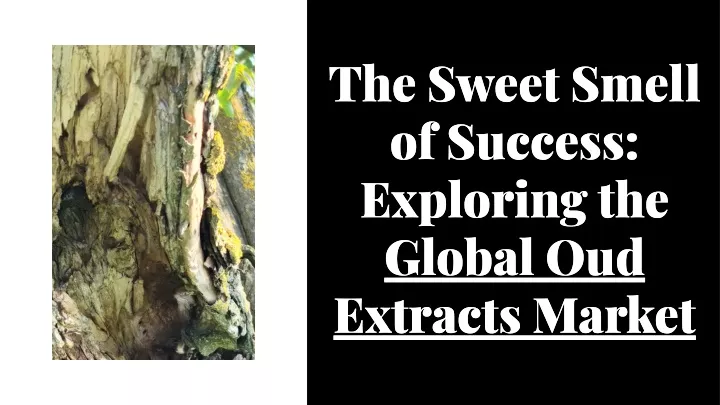 the sweet smell of success exploring the global