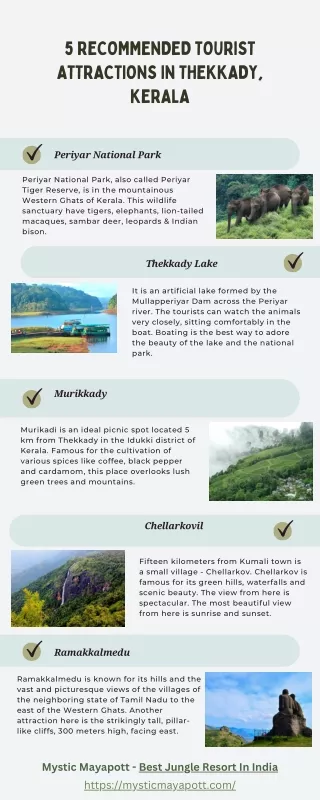 5 Recommended Tourist Attractions in Thekkady, Kerala