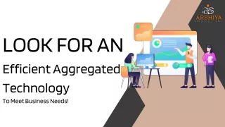Look For An Efficient Aggregated Technology To Meet Business Needs!