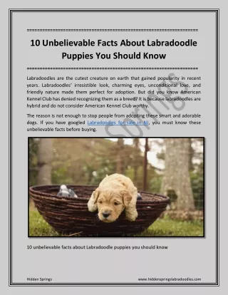 10 Unbelievable Facts About Labradoodle Puppies You Should Know