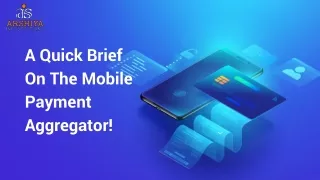 A Quick Brief On The Mobile Payment Aggregator || Arshiya Infosolutions
