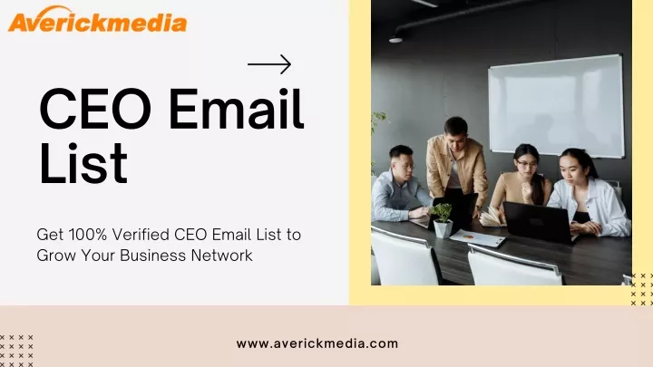 ceo email list