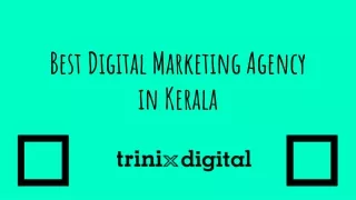TRINIX DIGITAL - Top Digital Marketing Agency Kerala