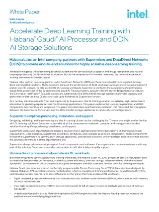 Accelerate Deep Learning Training with Habana Gaudi AI Processor and DDN AI Storage Solutions