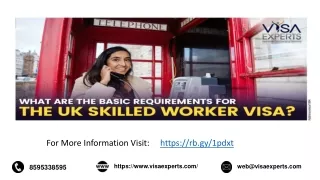 What are the basic requirements for the UK skilled worker visa