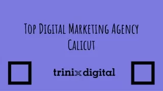 TRINIX DIGITAL - Top Digital Marketing Agency Calicut