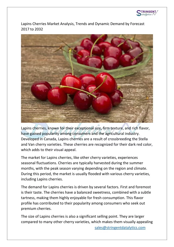 lapins cherries market analysis trends