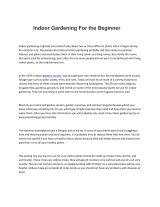 Indoor Gardening For the Beginner