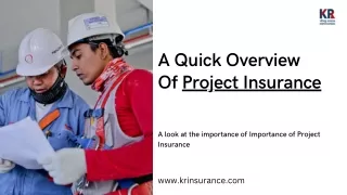 A Quick Overview Of Project Insurance