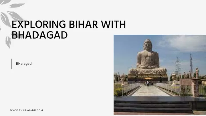 exploring bihar with bhadagad