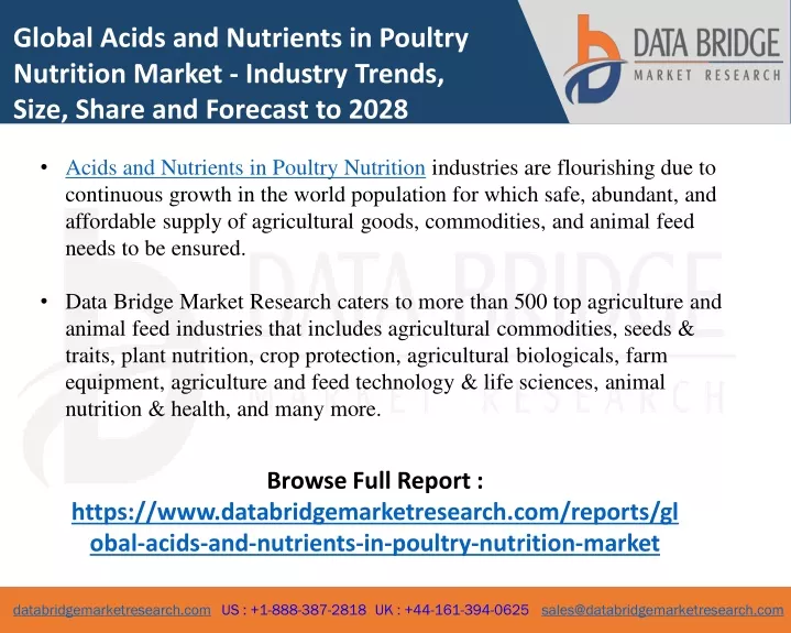 global acids and nutrients in poultry nutrition