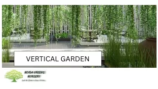 Pros & Cons Of Vertical Garden In Noida