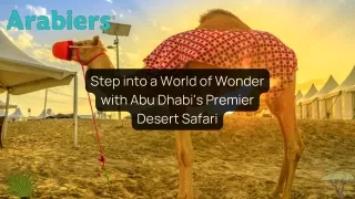 Step into a World of Wonder with Abu Dhabi's Premier Desert Safari