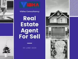 Expert Real Estate Agent for Leave and License Agreements