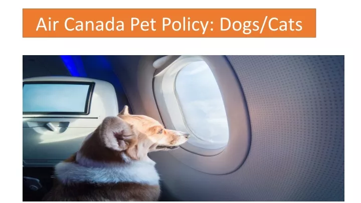 air canada pet policy dogs cats