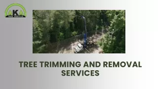 Atlanta's Premier Tree Removal Service AKA Tree Service