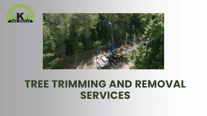 tree trimming and removal services