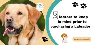 factors to keep in mind prior to 5 purchasing