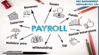 Simplify Payroll Processes: Advanced Management Solutions