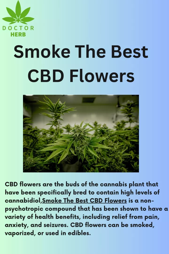 smoke the best cbd flowers