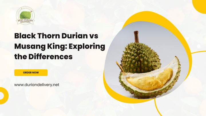 black thorn durian vs musang king exploring