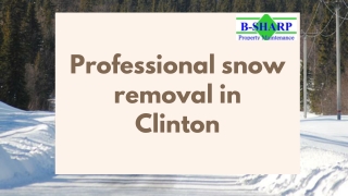 Hire the Professional Snow Removal in Clinton